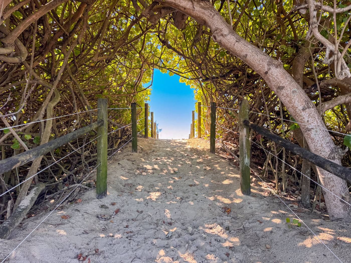 Sandy path through the dunes from Alexandra Parade to Alexandra Headland Beach